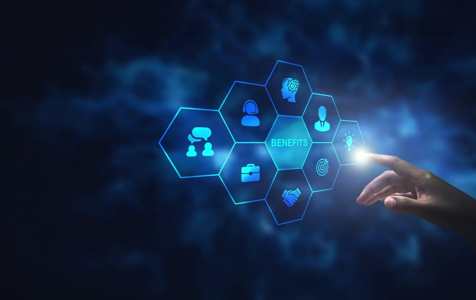 FedPointOne: Our Core Platform
